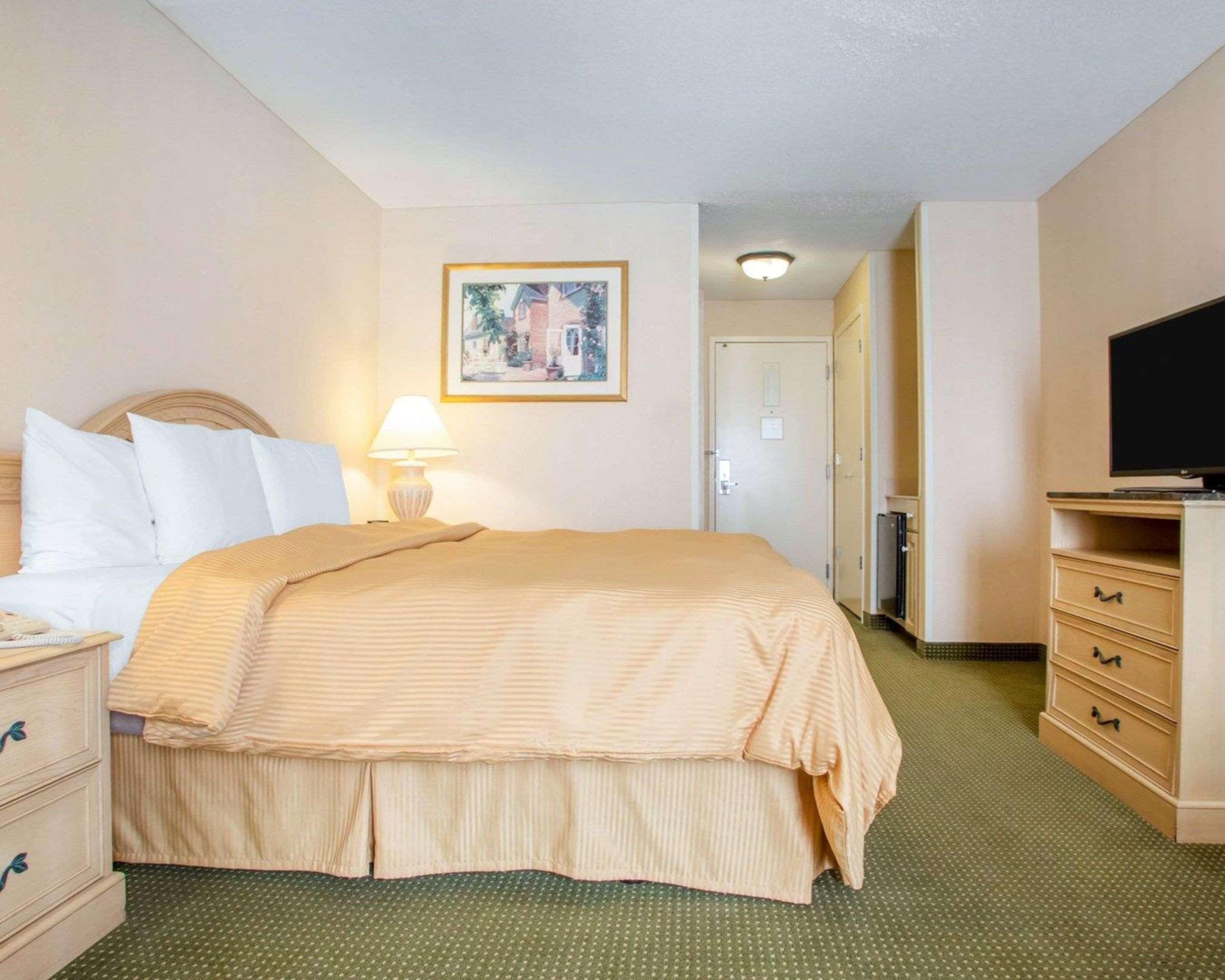 Clarion 3* South Holland